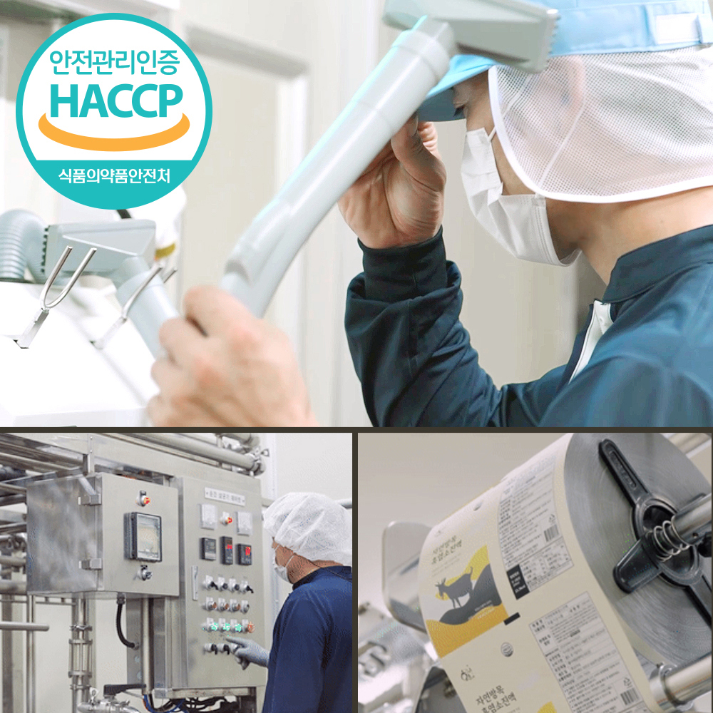 황금이네 자연방목 흑염소진액 엑기스 흑염소즙 100ml 150포(한마리)