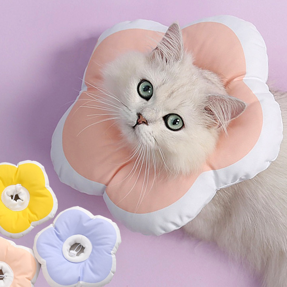 리치독스 강아지 넥카라 애견 고양이 깔대기 중성화 자수방수 S