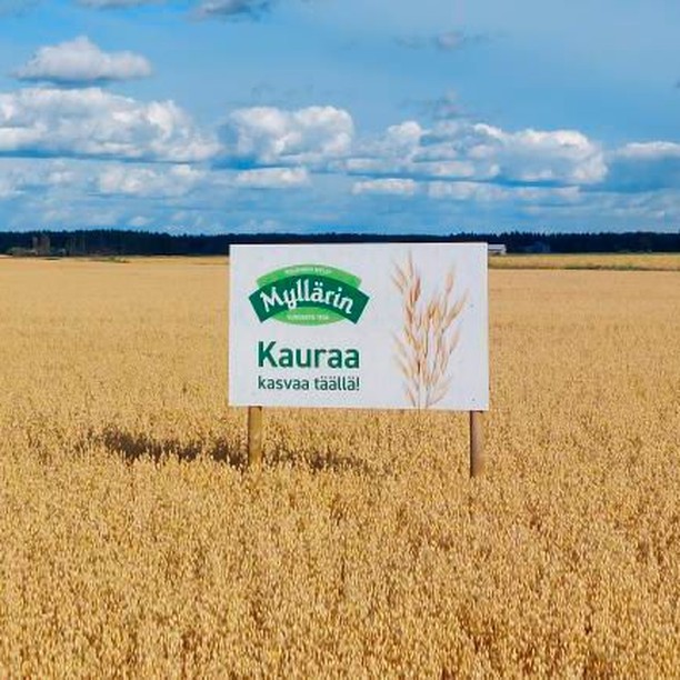 헬싱키밀 롤드오트 퀵오트 유기농 오트밀 포리지 글루텐프리 핀란드산 귀리 400g