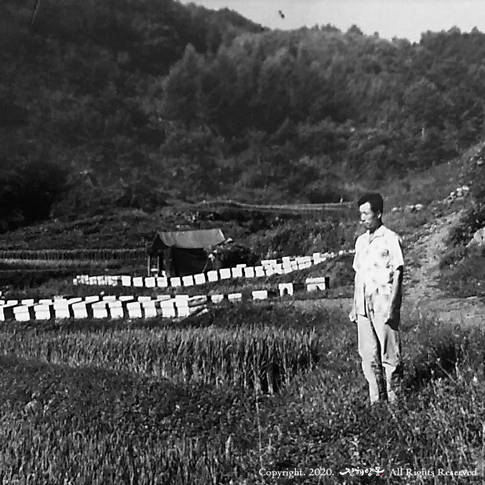 집에서 즐기는 달콤한 선물, 국산 아카시아꿀로 특별한 하루를 만들어보세요!