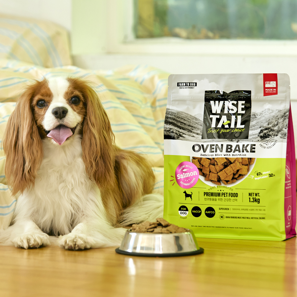 반려동물에게 딱 맞는 건강한 연어 사료, 한번 살펴보세요!