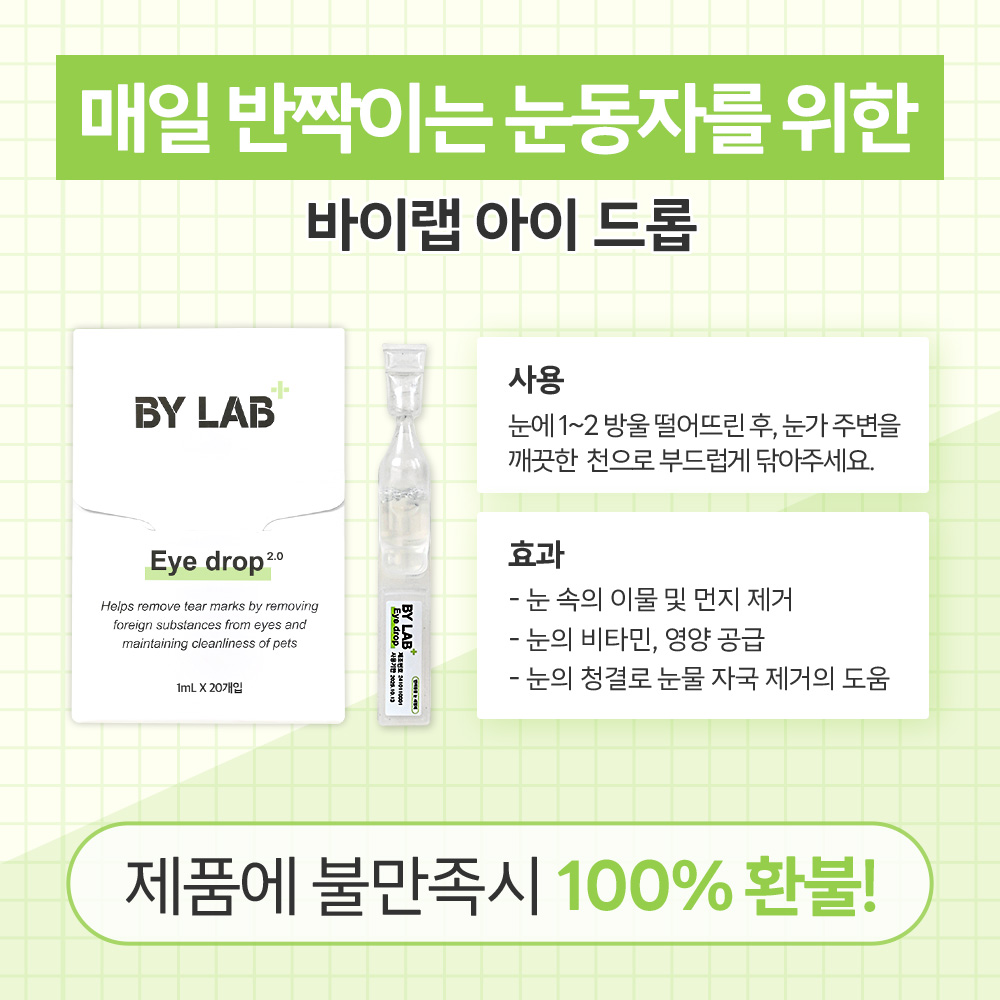 강아지 눈 건강을 위한 인공 눈물과 눈 세정제 추천