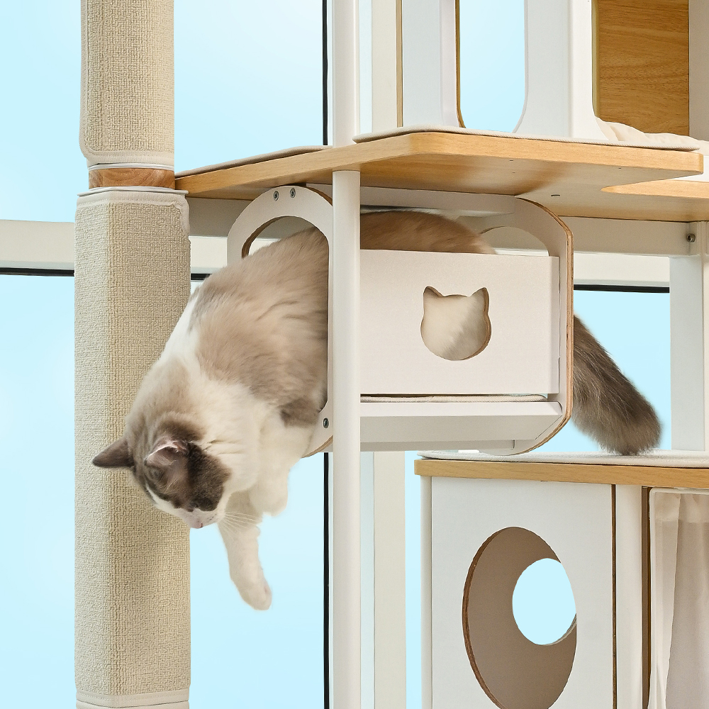 고양이들이 좋아하는 대형 캣타워와 숨숨집, 집에서 편하게 즐기기