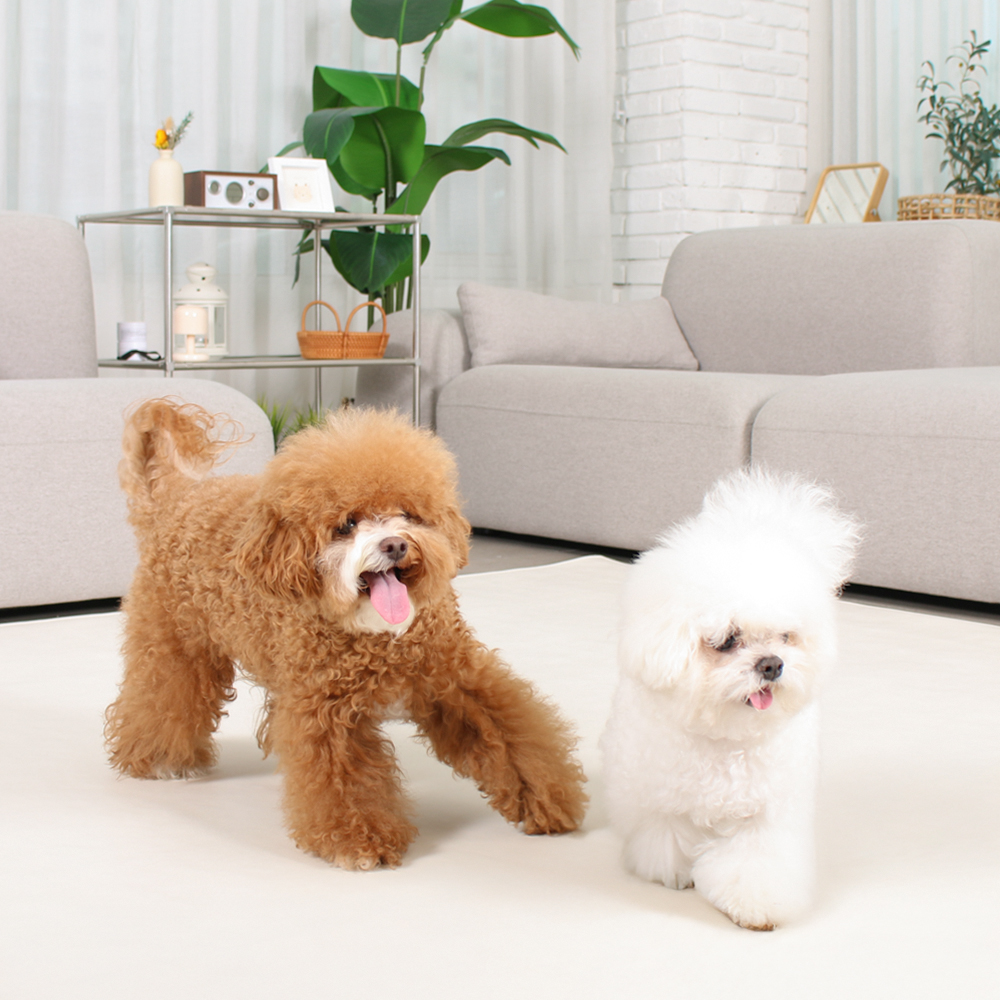 우리 강아지에게 딱 맞는 논슬립 레더 매트, 아이보리 컬러 추천해요!