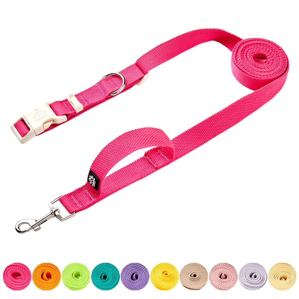 편하게 산책하는 강아지 리드줄, 허리와 어깨에 딱 맞는 2.5미터 팔레트형 산책줄