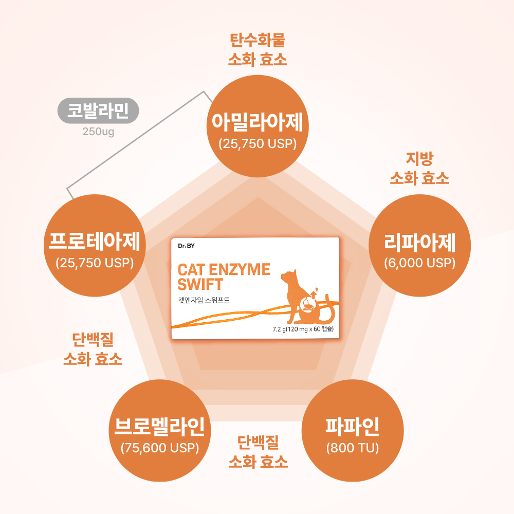 고양이 소화 건강을 위한 친근한 영양제 추천, 닥터바이 캣엔자임 스위프트
