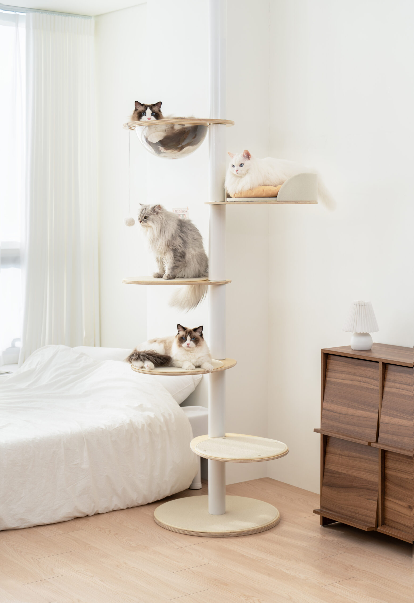 고양이들이 좋아하는 가르르 오로라 캣타워, 집에서도 쉽게 설치해보세요!