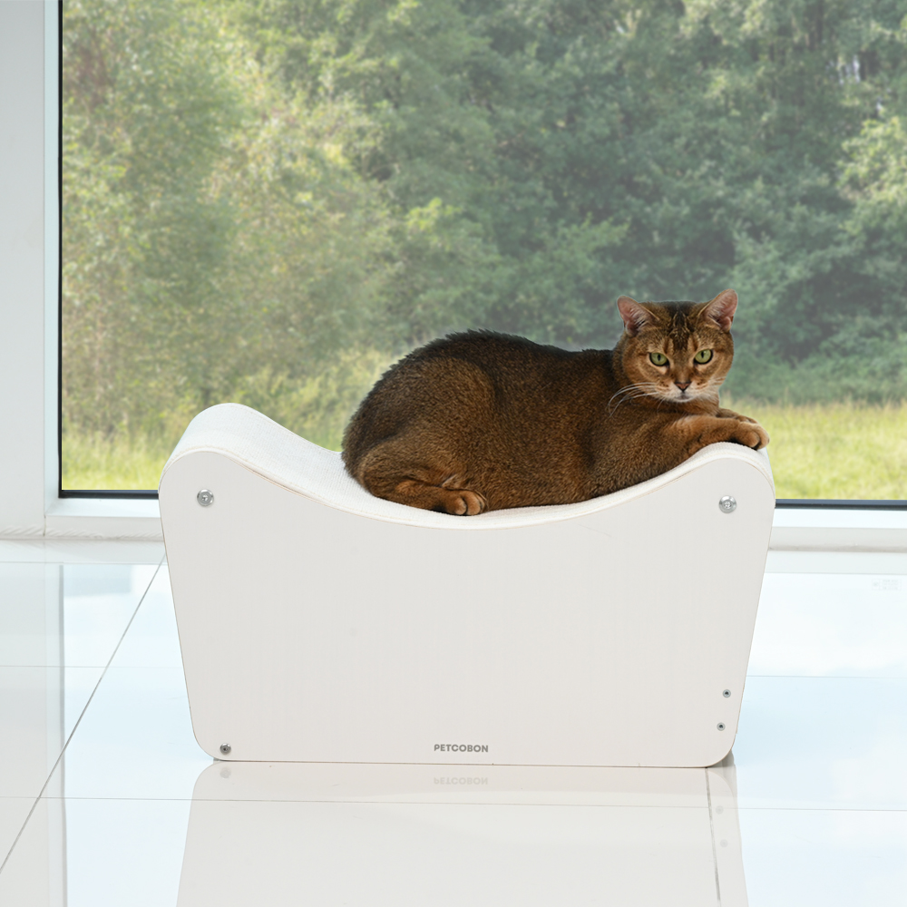 고양이들이 좋아하는 원목 스크래처와 교체 가능한 숨숨집 소파 추천