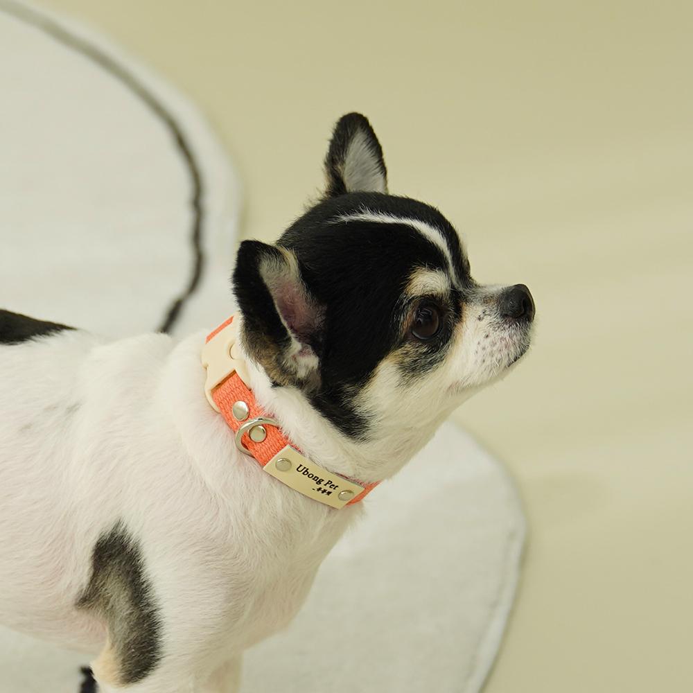 강아지 목줄에 이름각인, 깔끔하고 실용적인 선택!