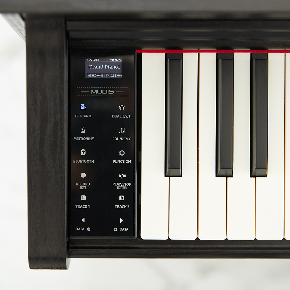 집에서도 연습하기 좋은 디지털 피아노, 어떤 점이 특별할까?