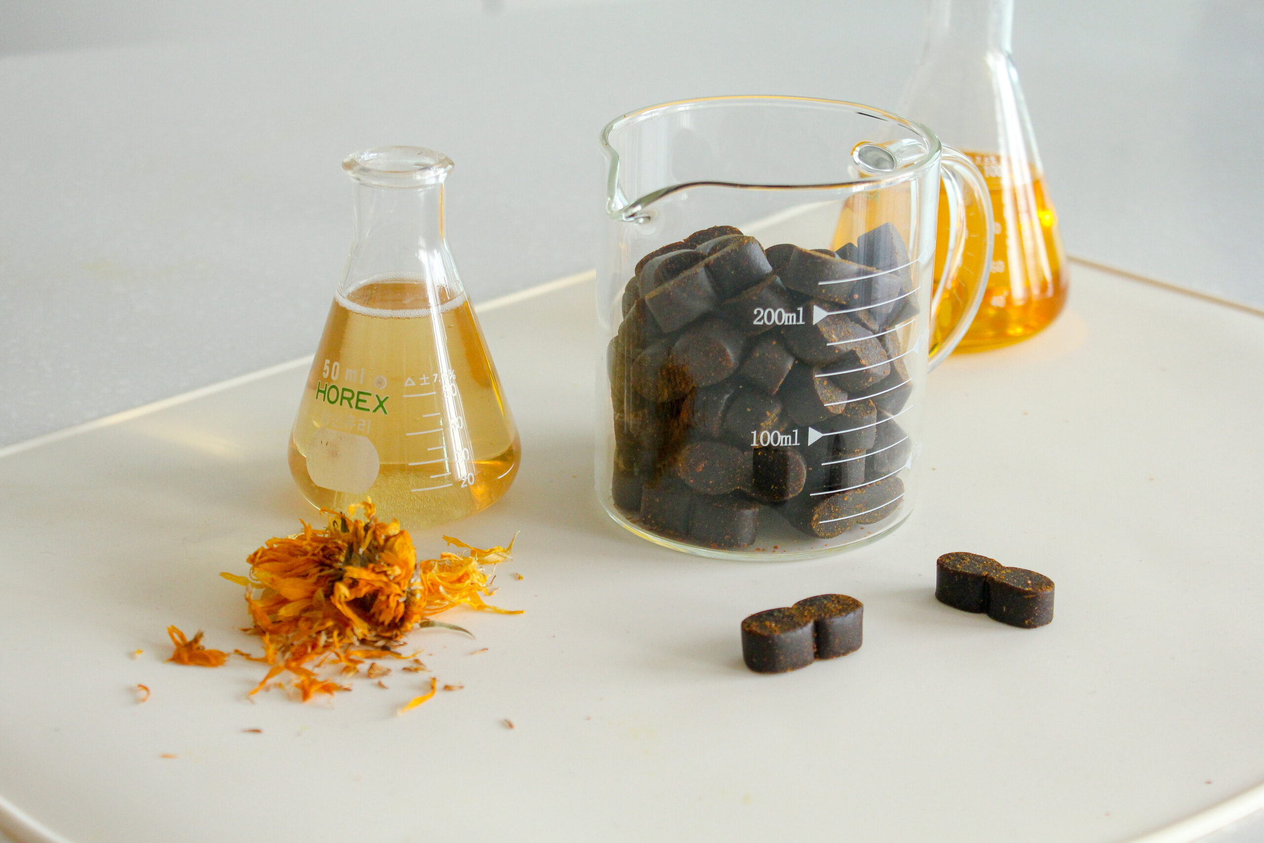 우리 강아지 노견을 위한 건강한 하루, 이렇게 챙기세요!