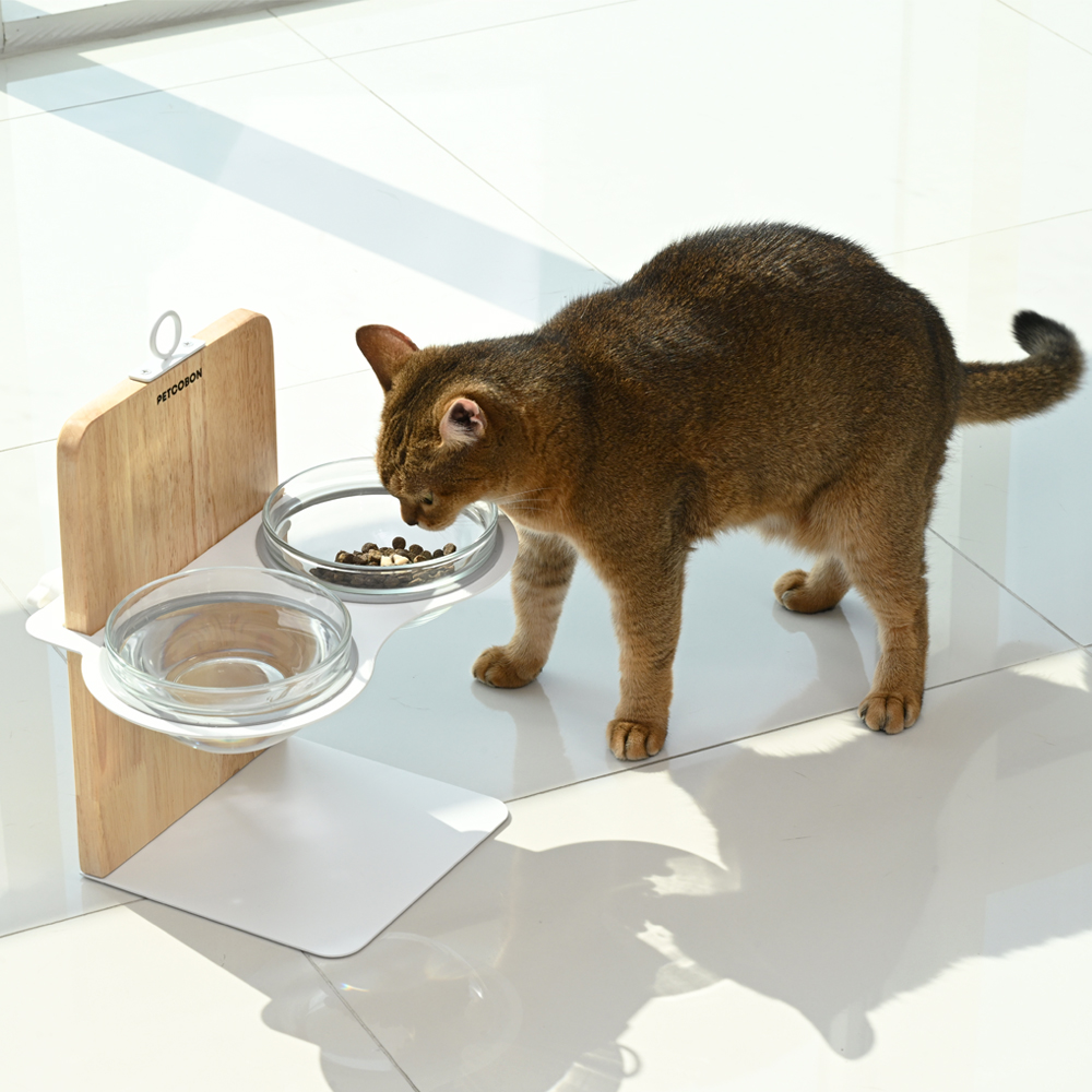 집에서 편하게 쓰는 강아지와 고양이 식기세트, 높이 조절도 가능해요!