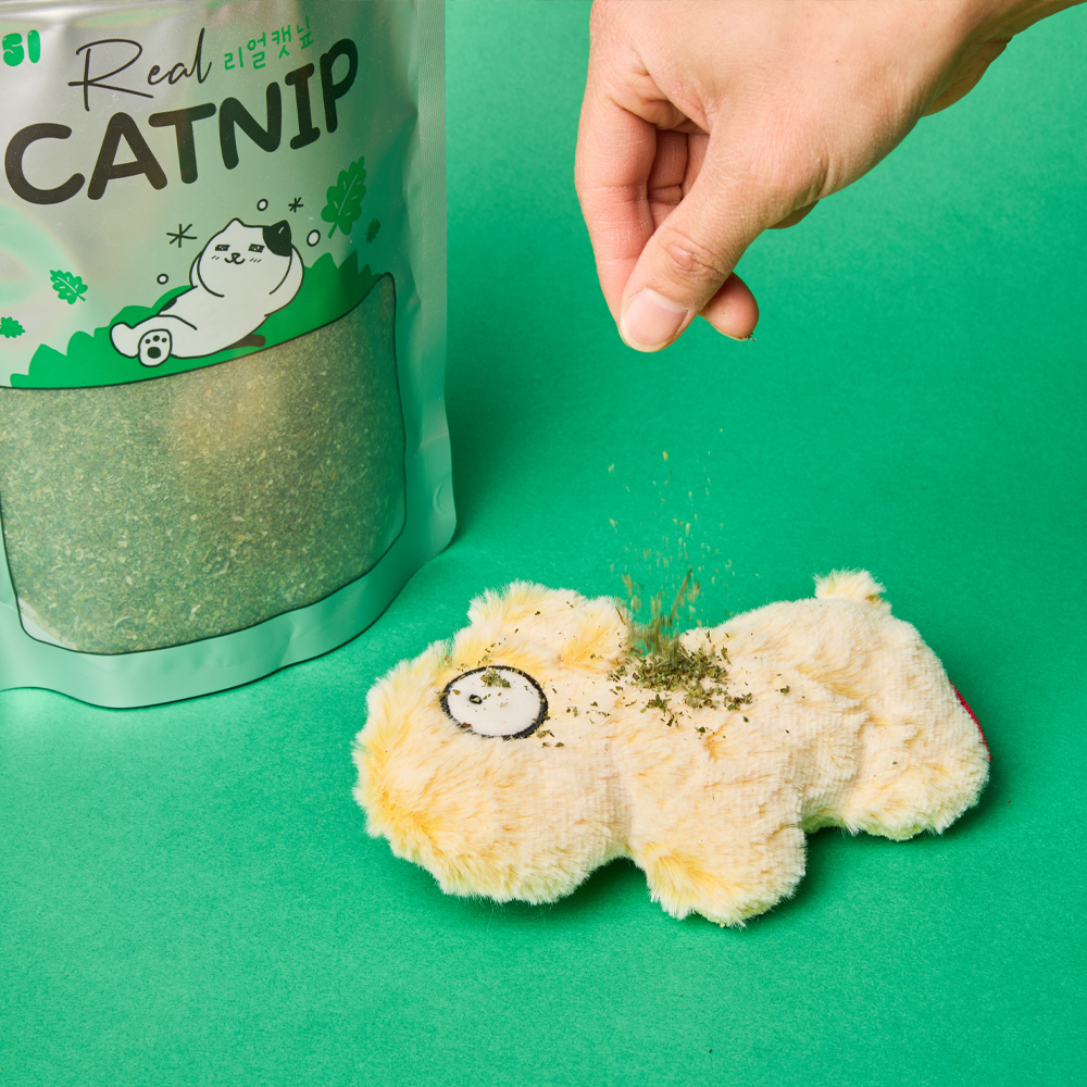 고양이들이 좋아하는 대용량 캣닢가루, 집에서도 쉽게 즐기세요!