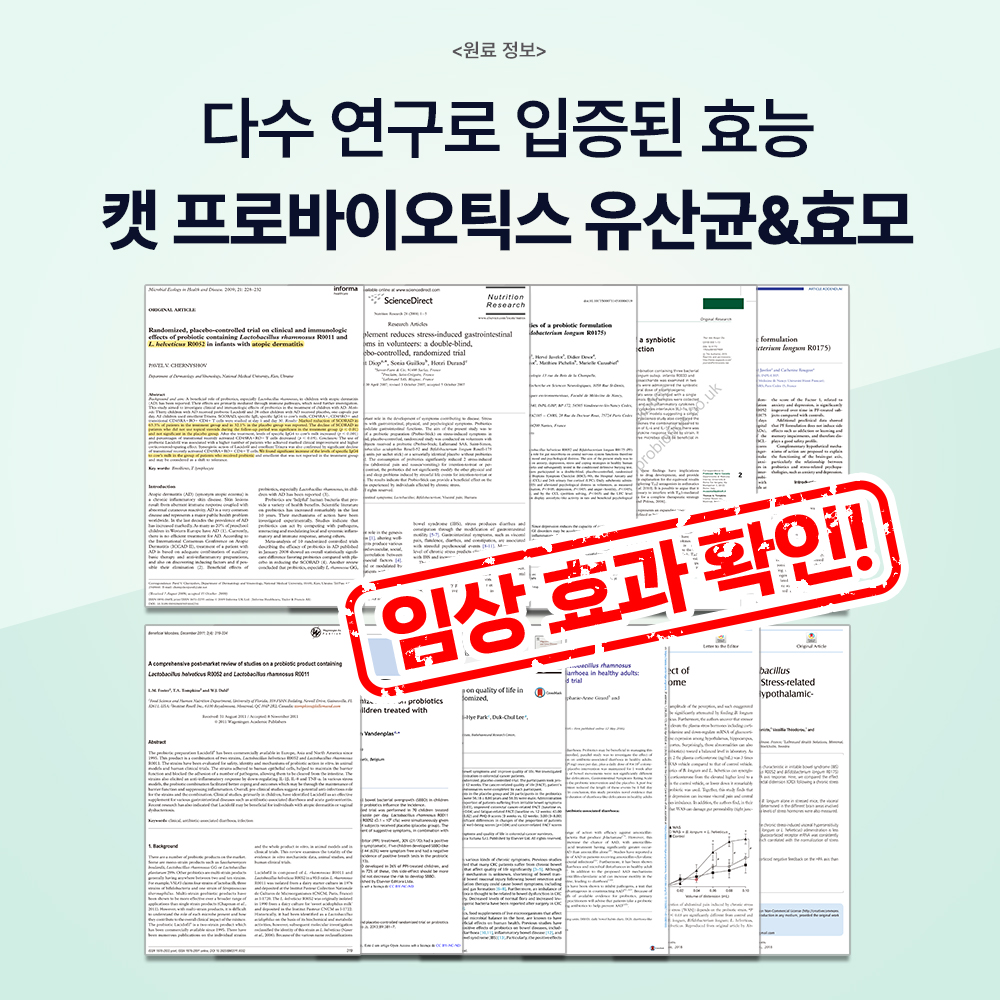 고양이 건강을 위한 유산균, 이렇게 챙기면 좋아요!