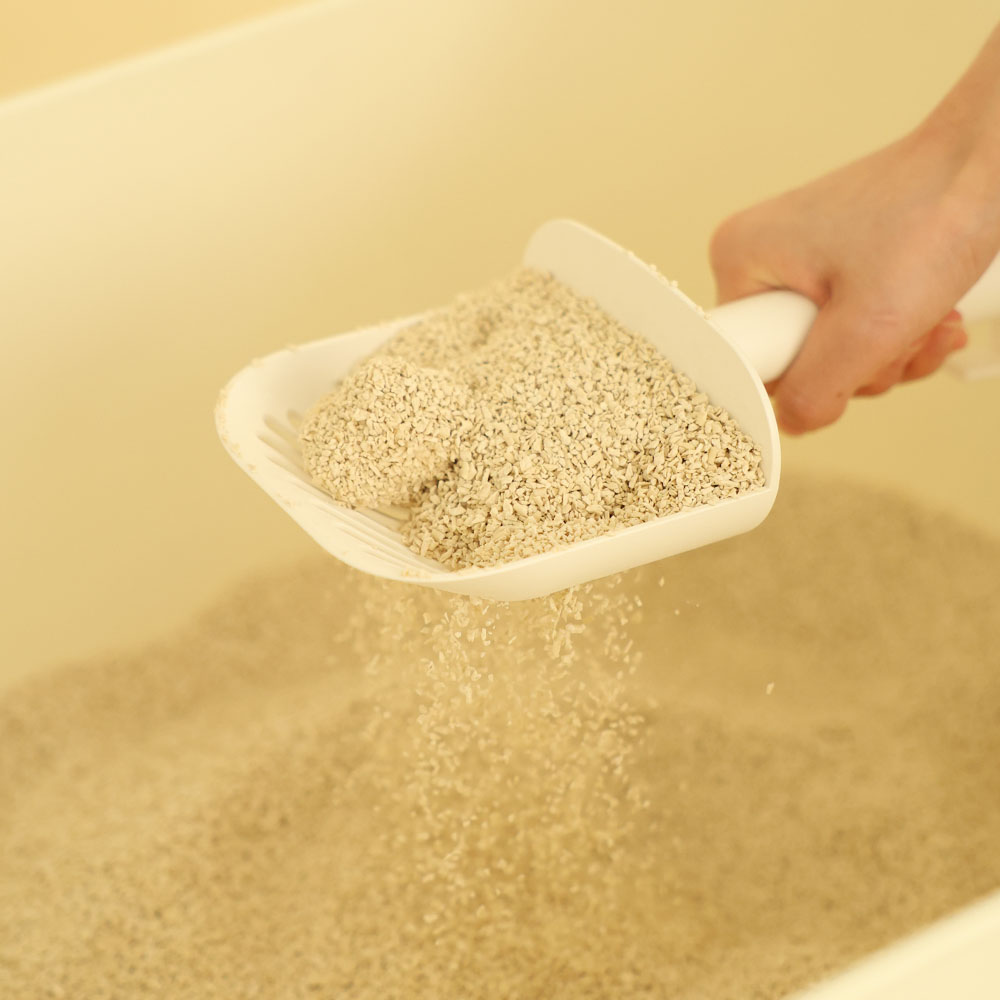 고양이 두부모래, 먼지 걱정 없이 깔끔하게 사용하는 방법