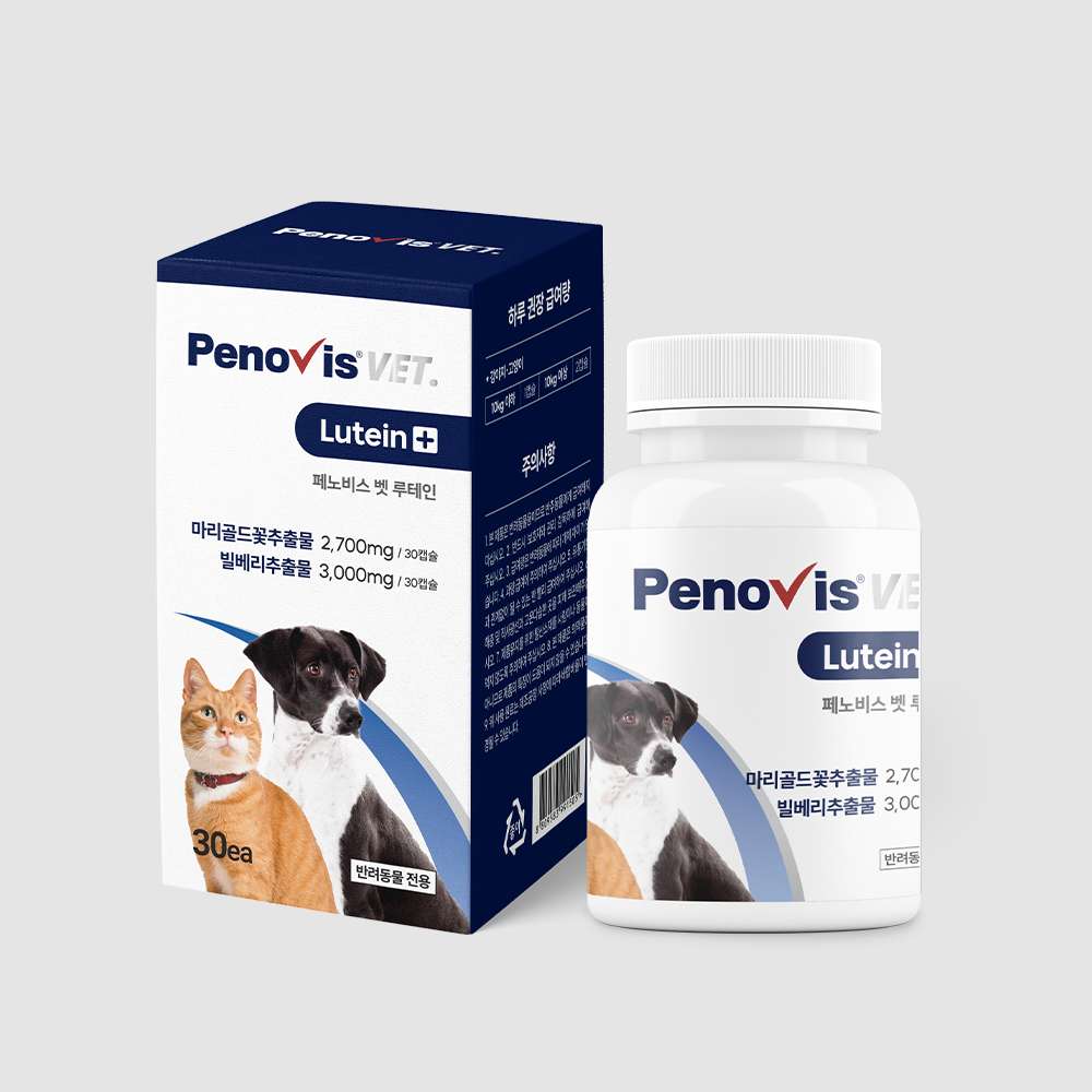 반려동물 눈 건강을 챙기는 간단한 방법, 눈영양제 추천!