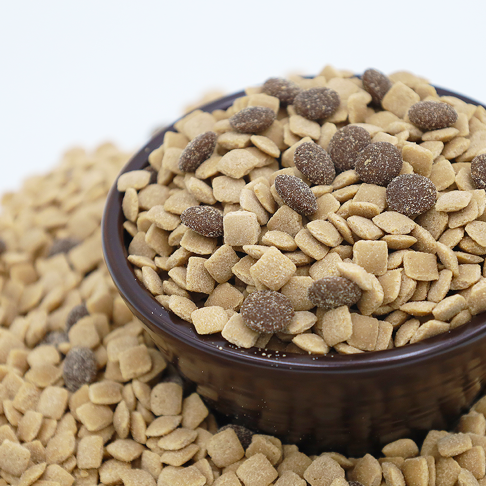 반려견 건강을 위한 맛있고 안전한 다이어트 사료 추천