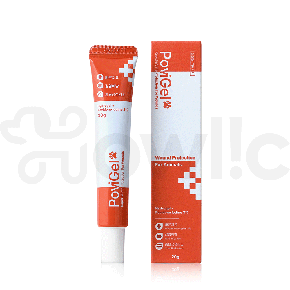 반려동물 피부 고민, 쉽게 해결하는 방법 알려드릴게요!