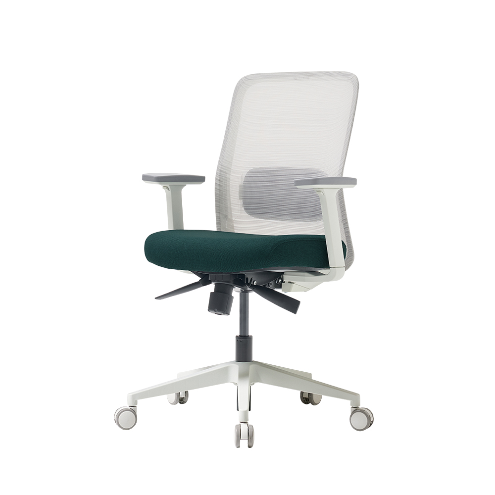 [슈퍼적립]듀오백 솜 여성용 사무 낮은 컴퓨터 허리편한 책상의자 재택근무 SOAM