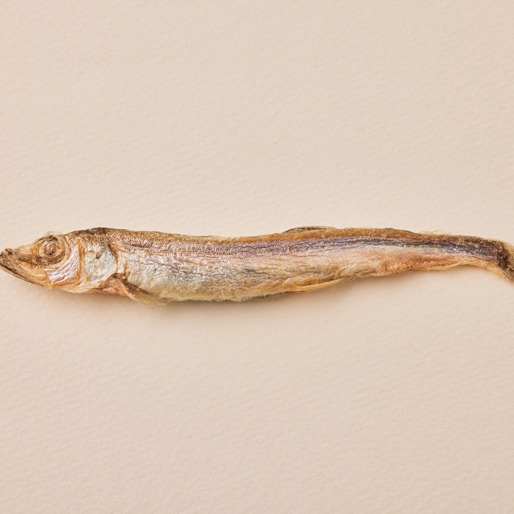 고양이 간식을 새롭게 즐기기! 대용량 동결건조 열빙어 트릿 추천