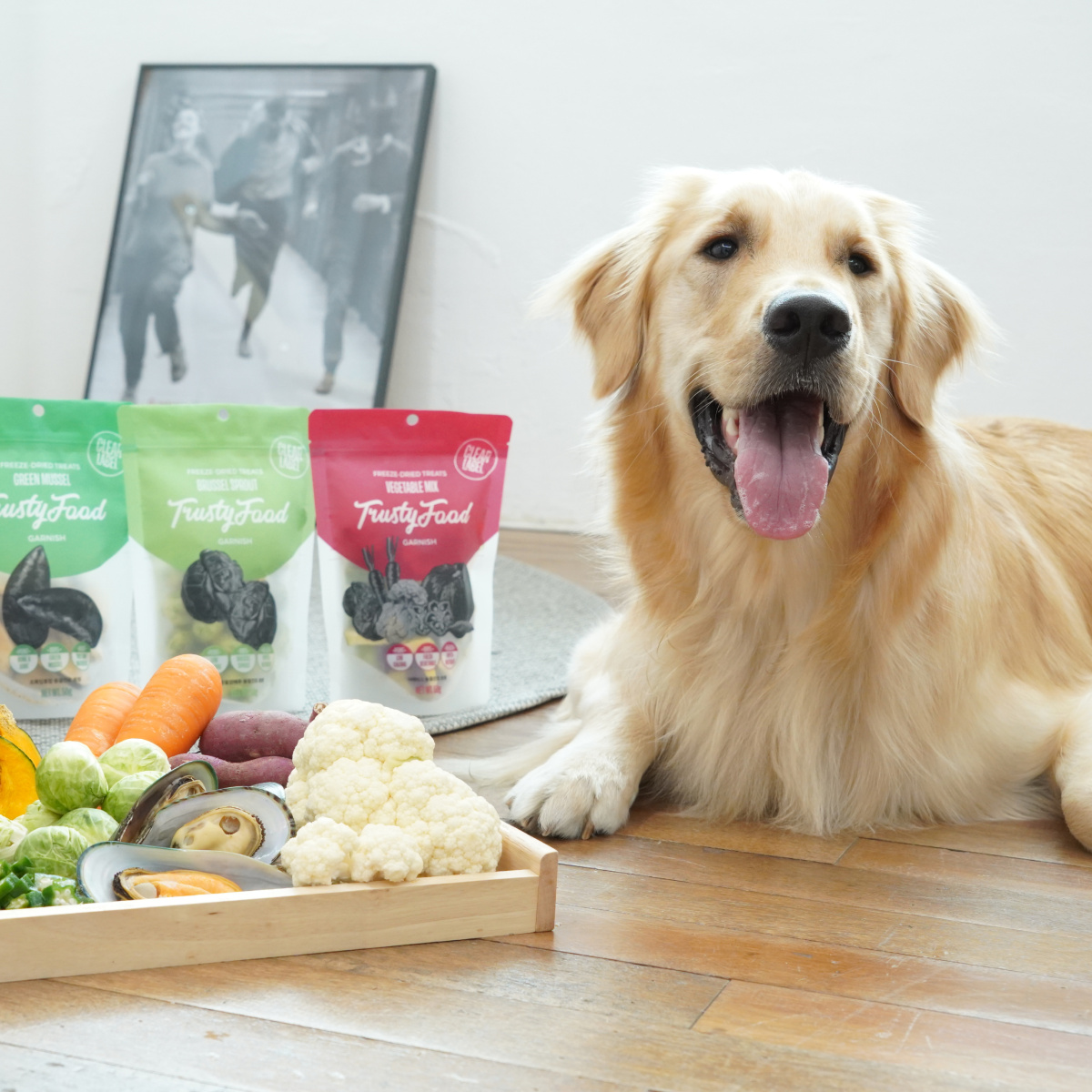 강아지 건강을 위한 맛있고 건강한 동결건조 야채 간식 추천!