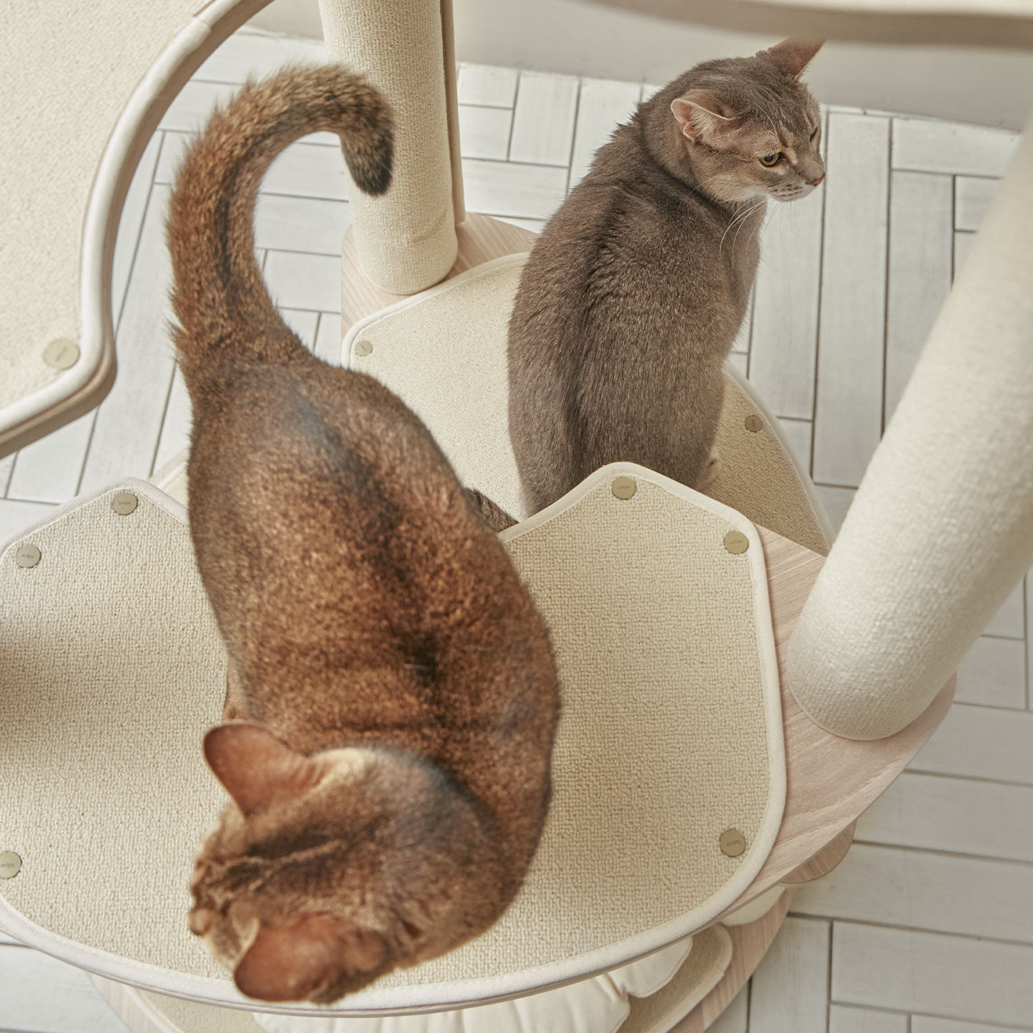 세이펫 4단 캣타워 스누즈T4 기본타입-원형바닥판 스크래쳐+기본스텝