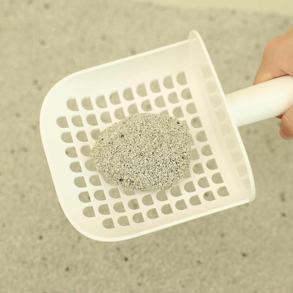 일상에서 편하게 쓰는 고양이 모래 추천, 먼지 걱정 없는 벤토나이트 제품