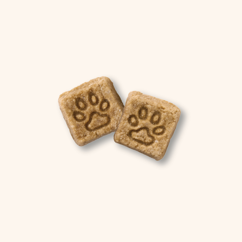 리틀포우 리얼 오븐베이크 프로틴업 에어드라이 강아지사료 치킨 1.2kg