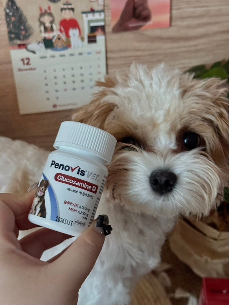 페노비스 강아지 관절영양제 슬개골 연골 관절염 고양이 칼슘 노견영양제 캡슐 벳 글루코사민