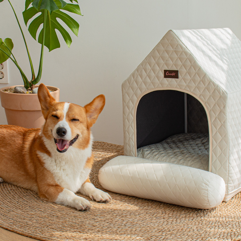 초코펫하우스 사계절 강아지집 에브리데이하우스 3.0 아이보리, 소형