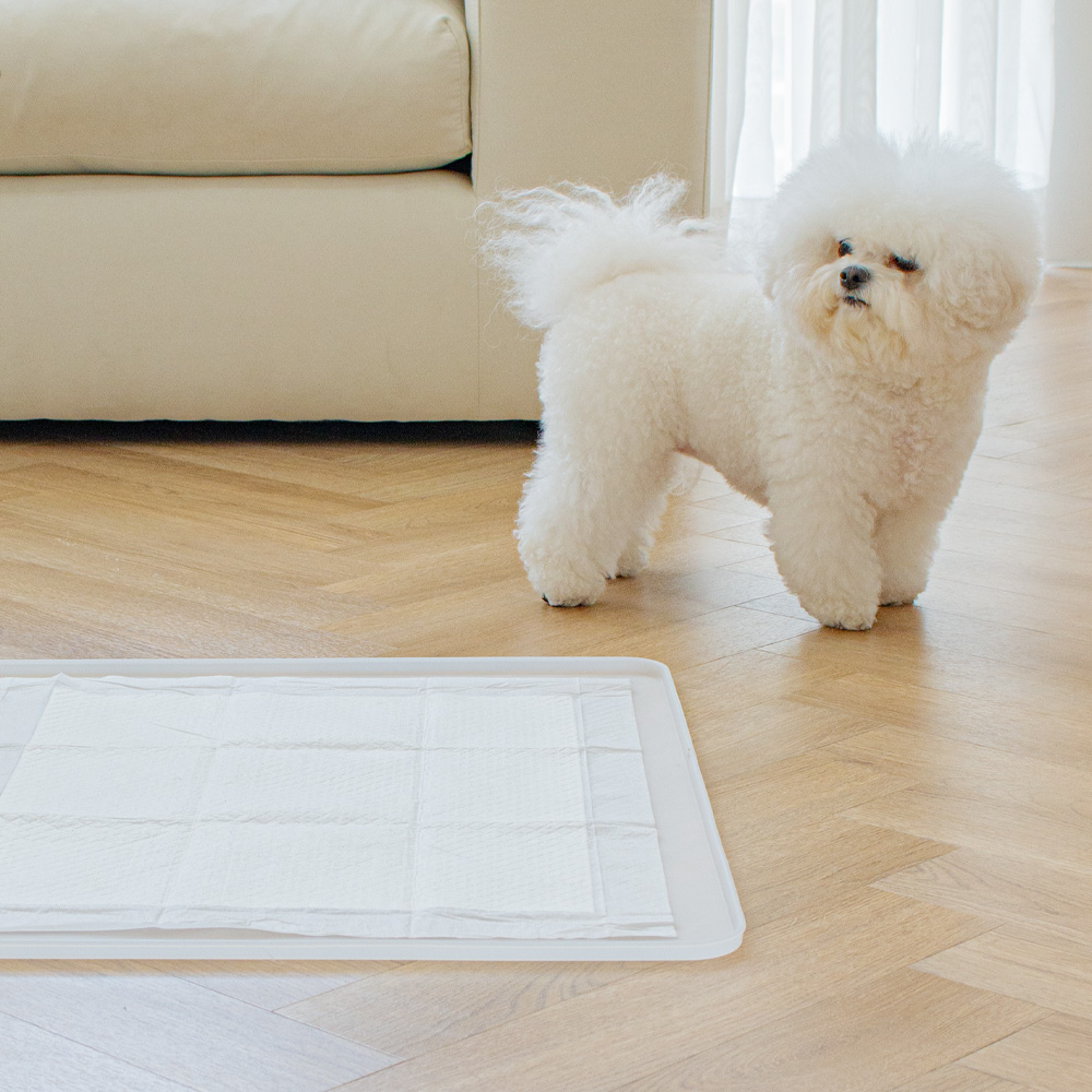 강아지 배변매트 애견 배변판 화장실 항균 실리콘 퍼펙트토일렛2.0 싱글