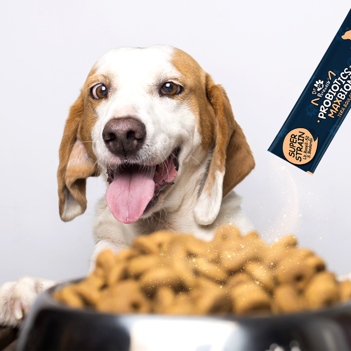 닥터페렌들리 맥스바이옴 강아지 고양이 유산균 장건강 설사 변비 면역력 30포, 2개