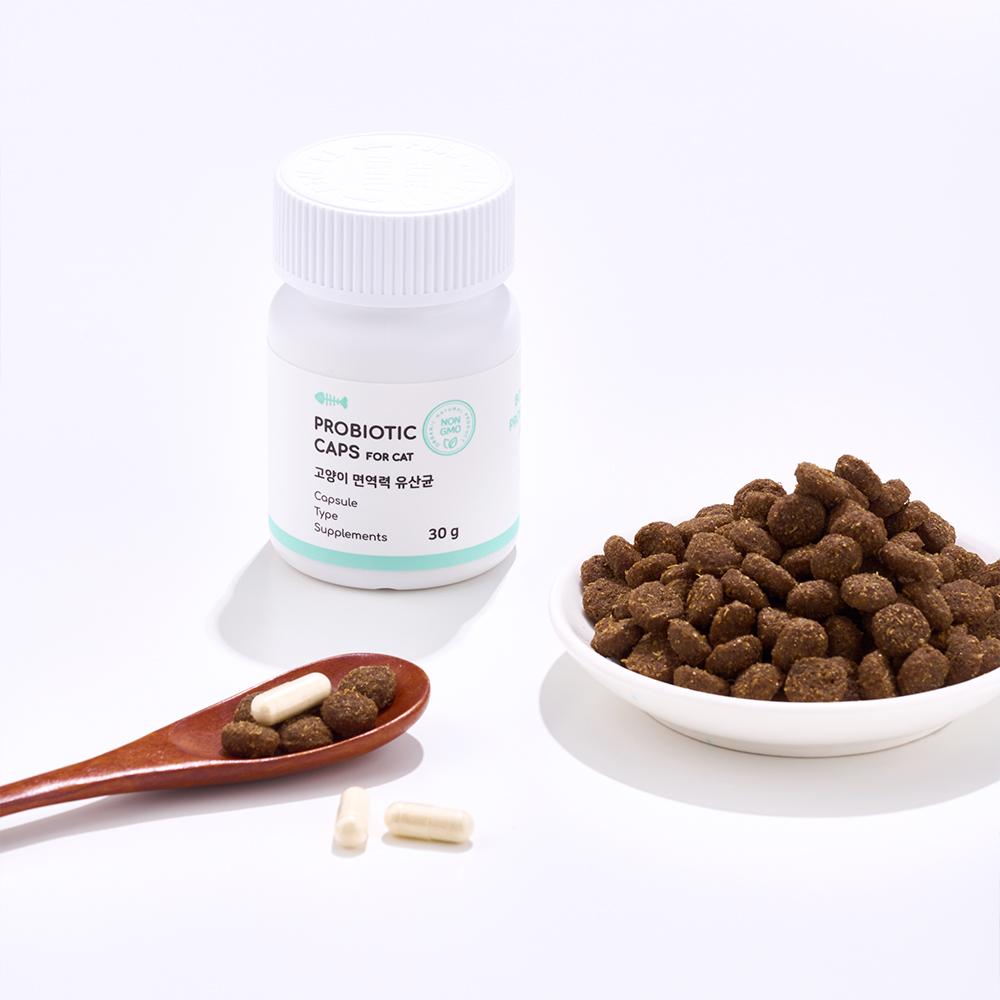 본아페티 고양이 구강관리 유산균 프로바이오틱캡스포캣 아기 설사 변비 캡슐 60포, 1개