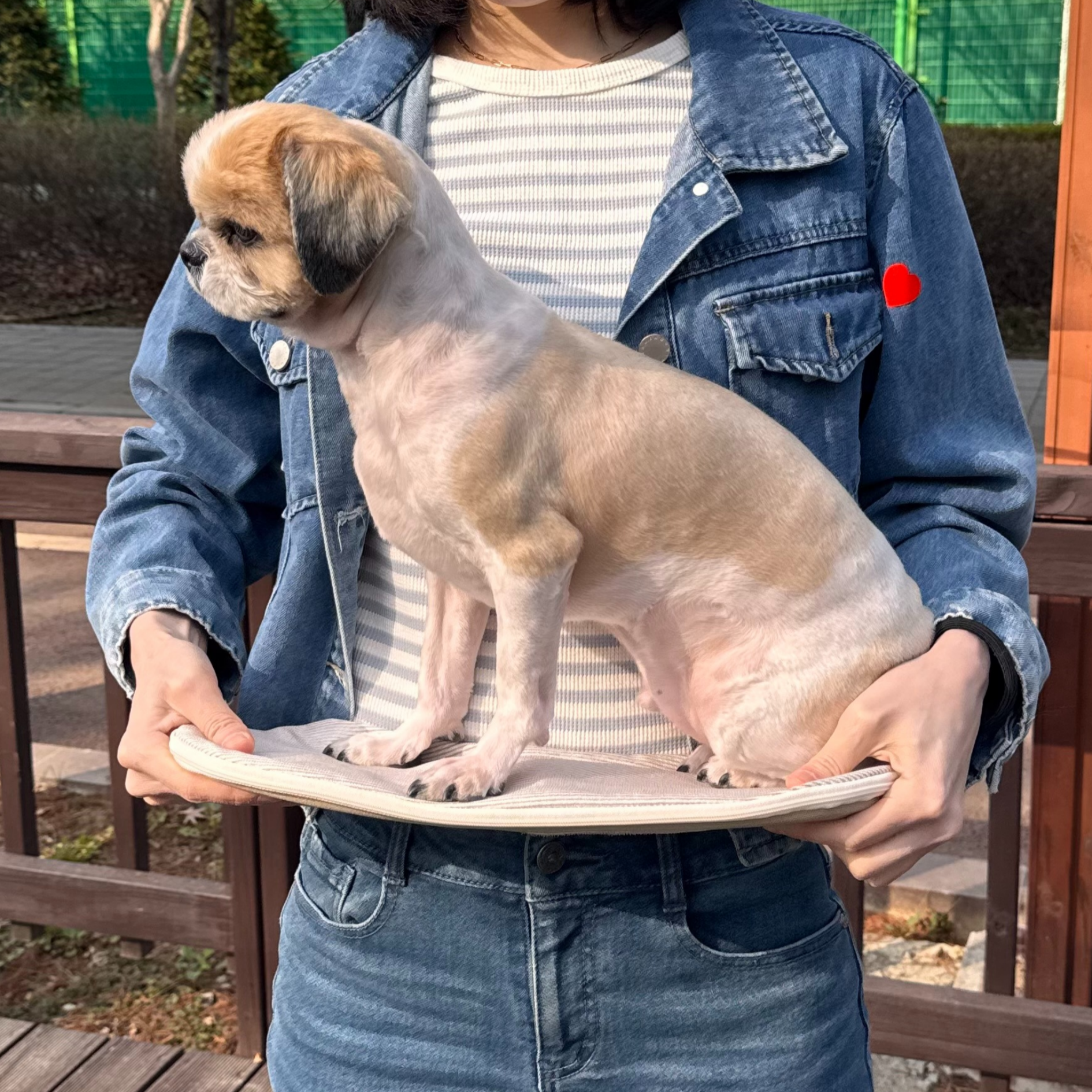 강아지 포대기 이동가방 모드니펫 앞가방 애견 슬링백 산책 백팩 S