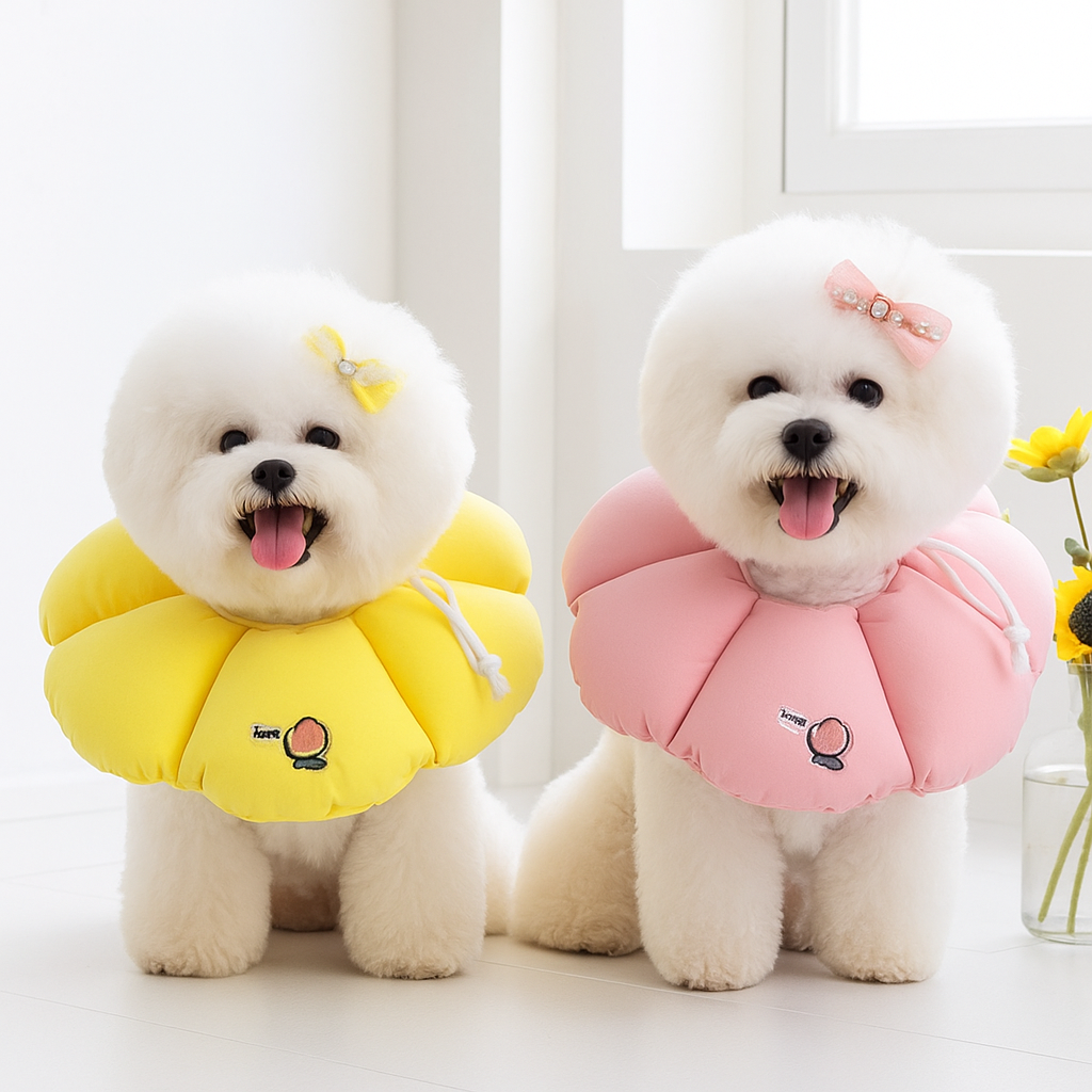 리치독스 강아지 넥카라 애견 고양이 깔대기 중성화 자수방수 S