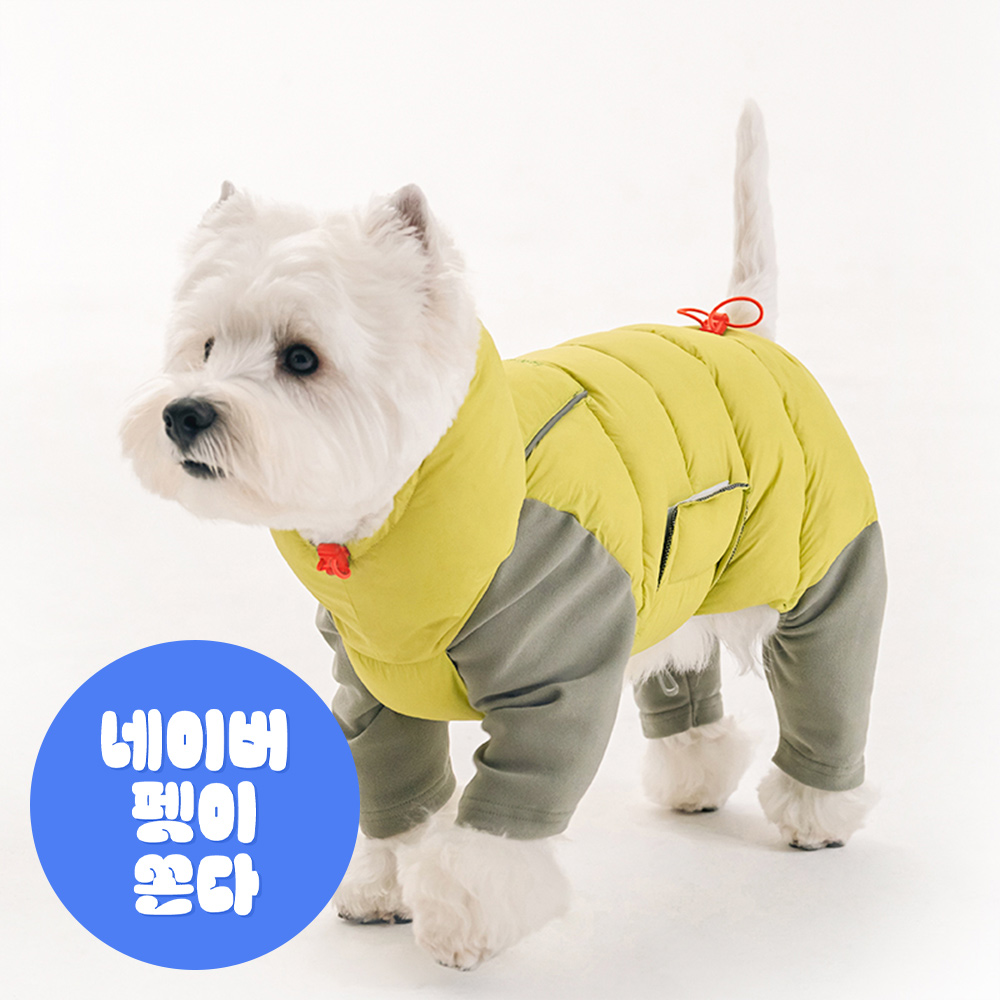 바잇미 LATTA 올인원 강아지패딩 강아지겨울옷 애견 라임