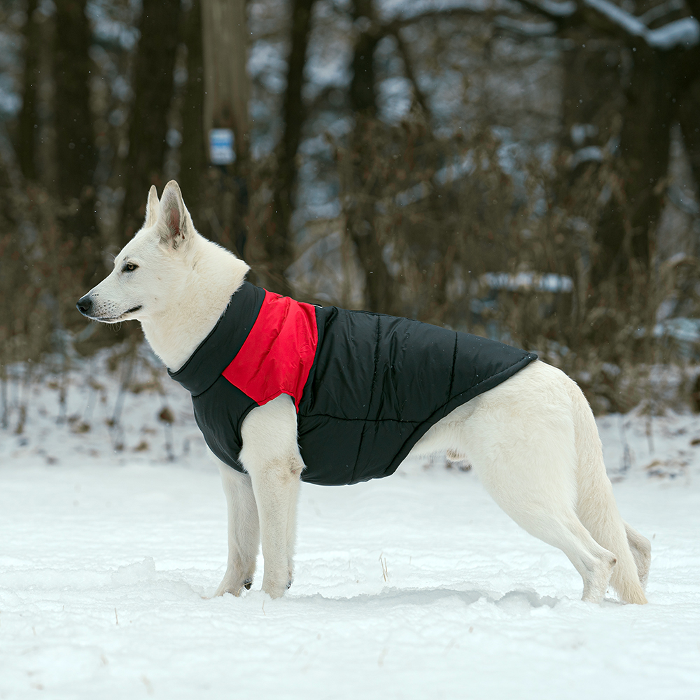 대형견패딩 강아지 패딩 조끼 경량 겨울옷 진돗개 5XL