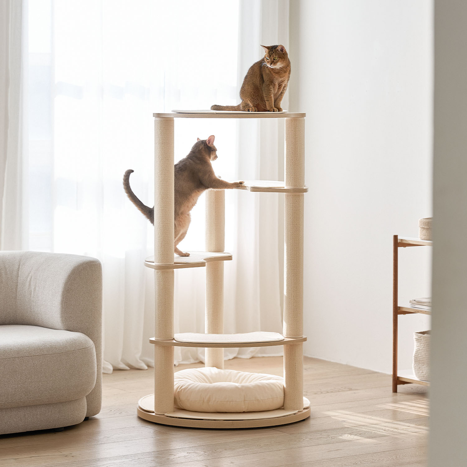 우리 집 고양이도 좋아하는 4단 캣타워, 스누즈T4로 놀아보세요!