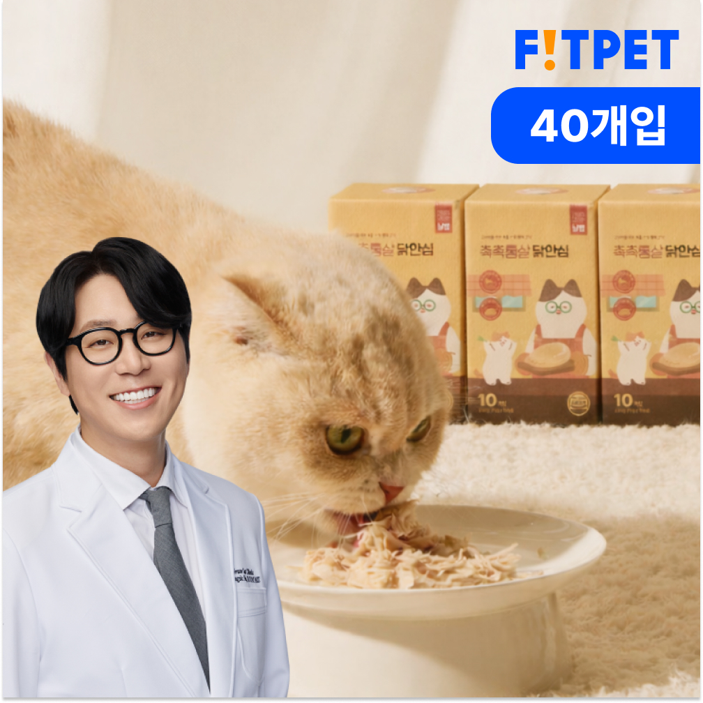 고양이 간식, 촉촉하고 건강하게! 냥쌤 닭고기와 생선 안심 간식 추천