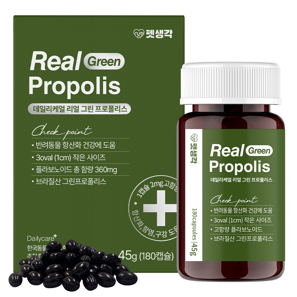 우리 강아지 건강을 위한 구강 영양제, 이렇게 선택하세요!