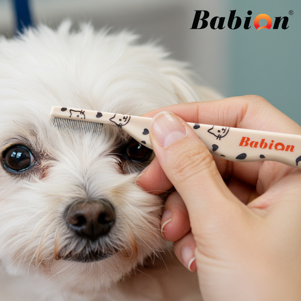 반려동물 얼굴을 깔끔하게! 미니 페이스 브러쉬 추천