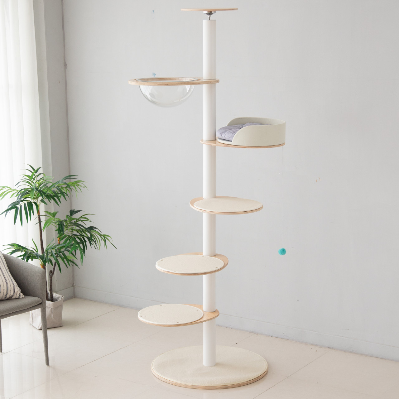 고양이들이 좋아하는 가르르 오로라 캣타워, 집에서도 쉽게 설치해보세요!