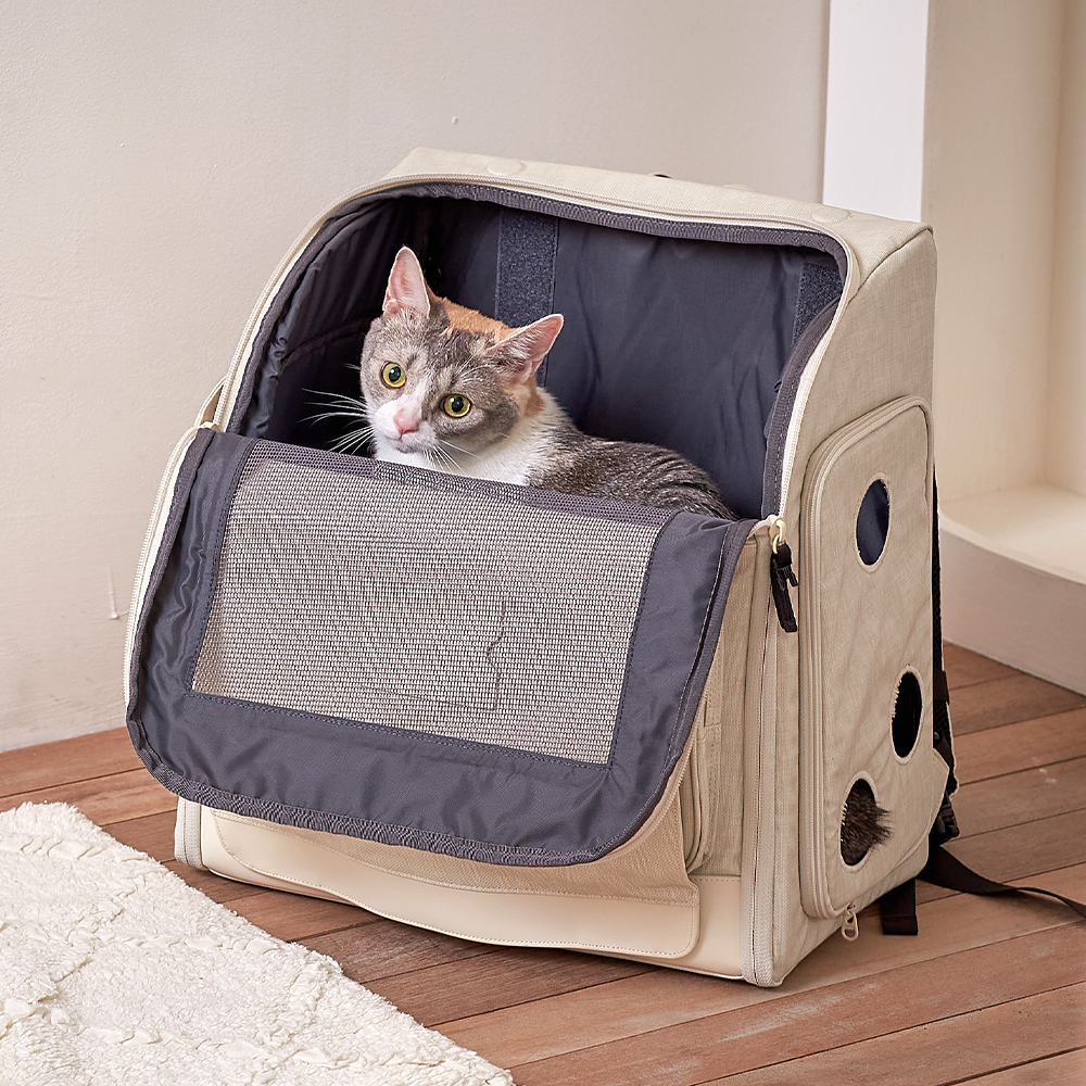 편하게 이동하는 강아지와 고양이 가방, 어떤 게 좋을까?