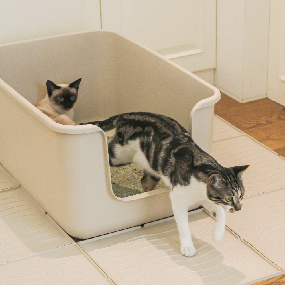 편리하고 넉넉한 고양이 화장실, 집안 어디든 잘 어울려요!