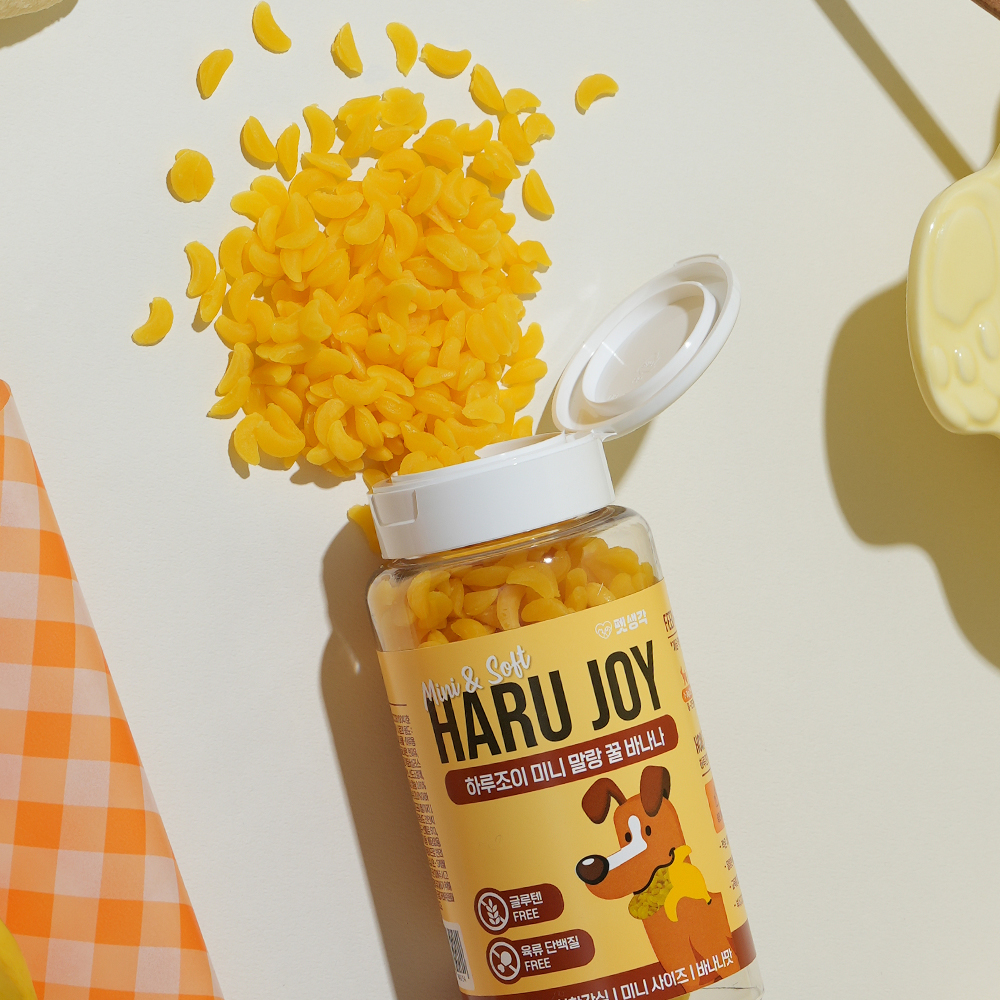 우리 강아지 건강을 위한 저칼로리 간식 추천! 노즈워크와 다이어트에 딱 좋아요