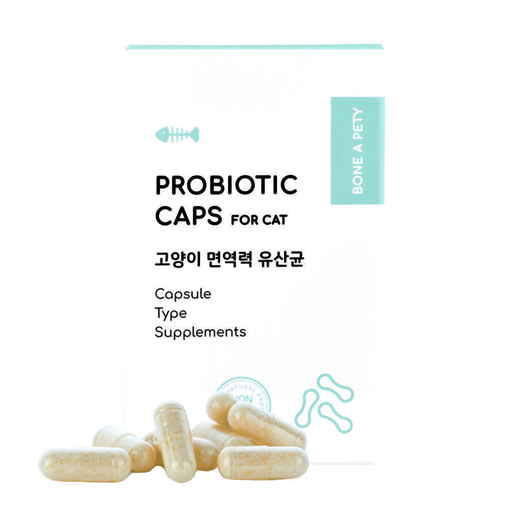 고양이 구강 건강과 소화 개선, 함께 챙기기 좋은 유산균 캡슐 추천