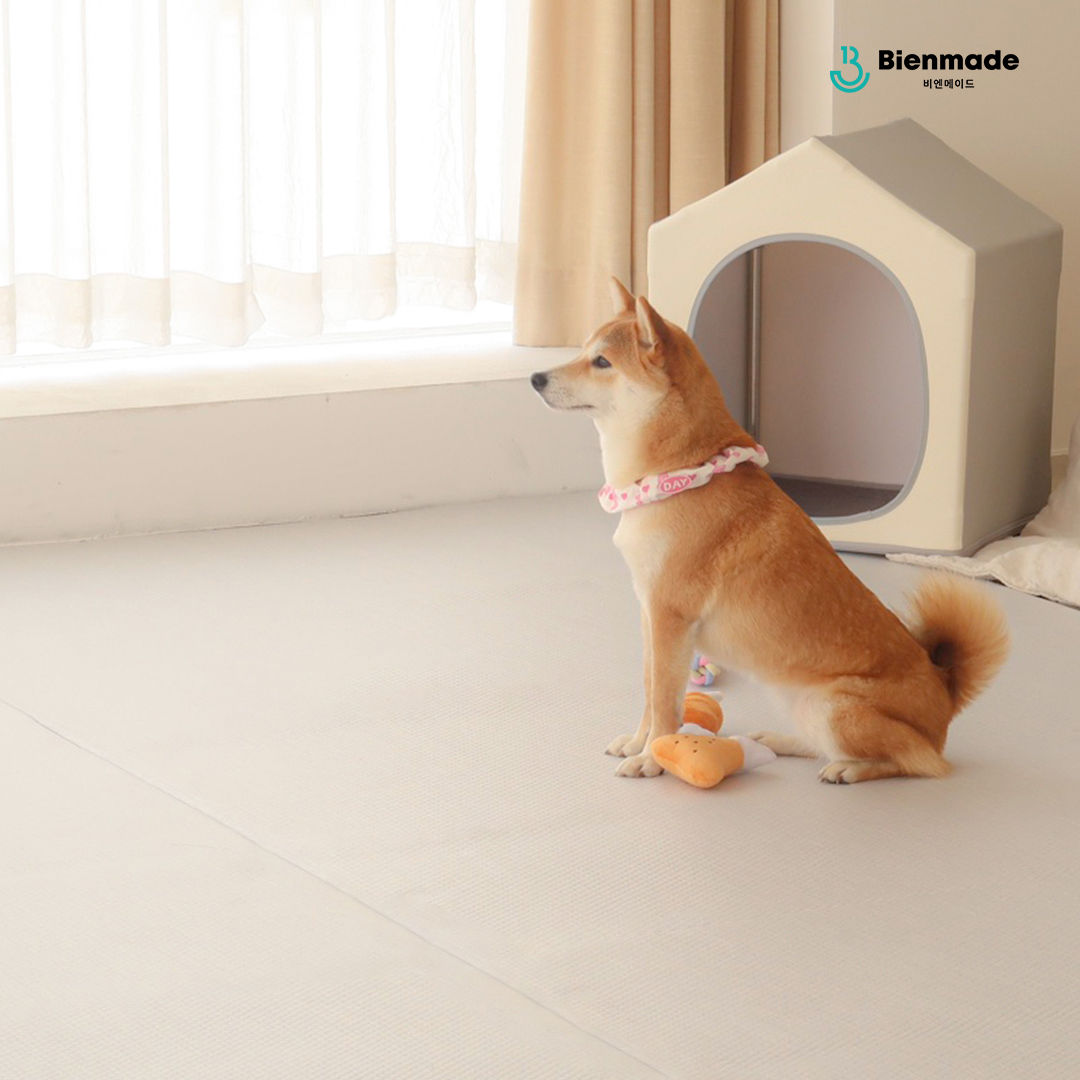 집에서 강아지와 고양이 매트로 편안함을 더하는 방법