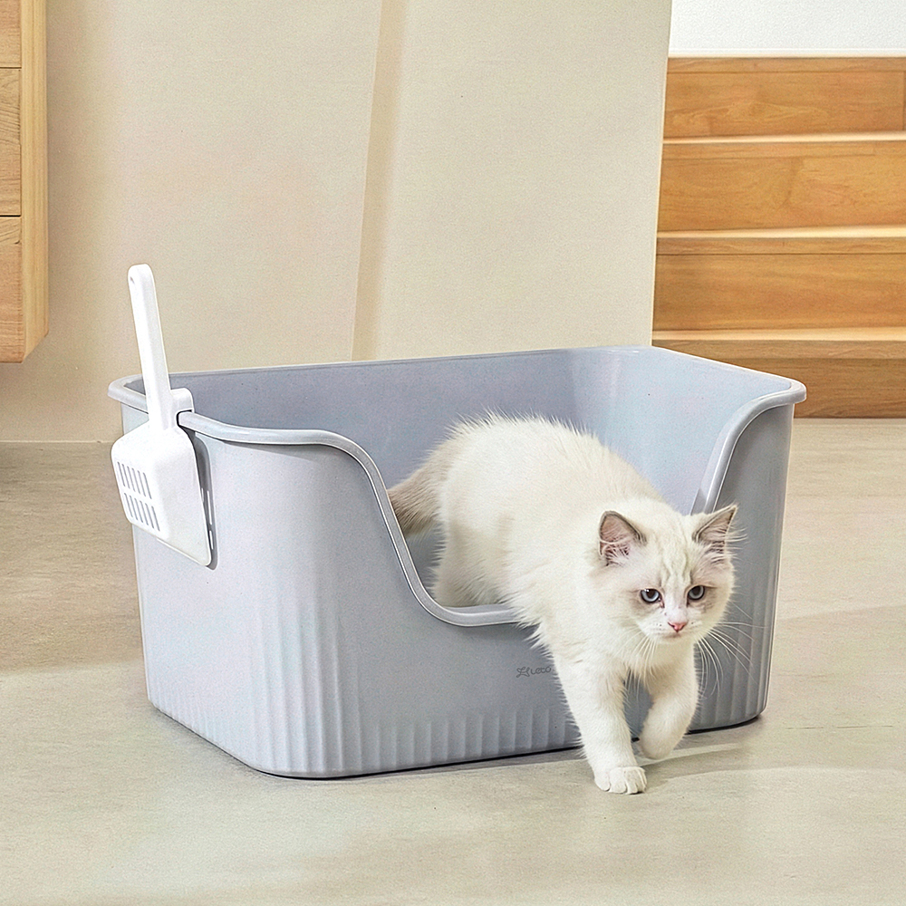 편리하고 넉넉한 크기의 고양이 화장실, 집에 딱 맞는 선택!