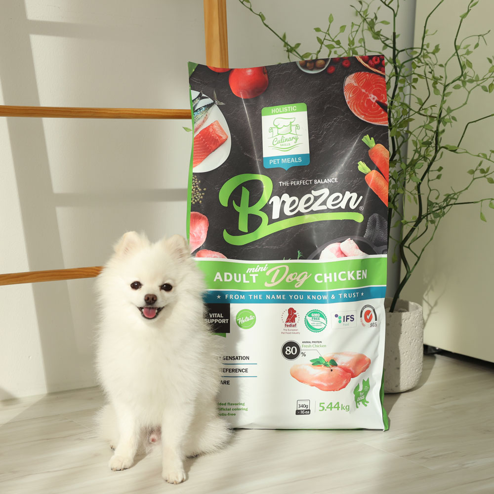 반려견을 위한 건강한 선택! 브리젠 홀리스틱 강아지 사료 치킨으로 건강 챙기기