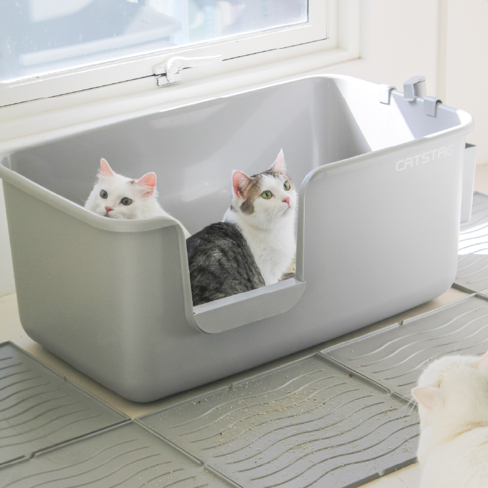 편리하고 넉넉한 고양이 화장실, 집안 어디든 잘 어울려요!